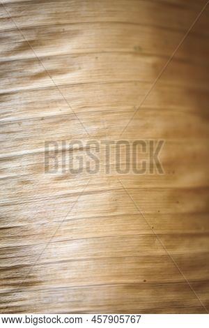 Texture Background Backlight Cinnamon Dry Leaf. Closeup Background Of Beige Banana Leaf Use Space Fo