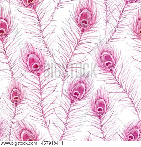 Beautiful Autotraced Vector Seamless Pattern With Watercolor Hand Drawn Pink Peacock Feathers. Stock