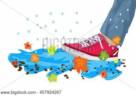 Leg With Shoe, Puddle, Maple Leaves And Rain Drops Isolated On White Background. Feet Step In Puddle