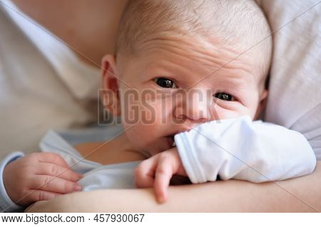 Close-up Detail Portrait Of Mother Kissing Cute Little Peaceful Newborn Baby In Her Hands. Maternal 