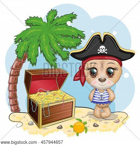 Teddy Bear Pirate, Cartoon Character Of The Game, Wild Animal In A Bandana And A Cocked Hat With A S