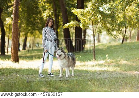 Dog On A Leash With A Girl In The Park. Pet Sitter.