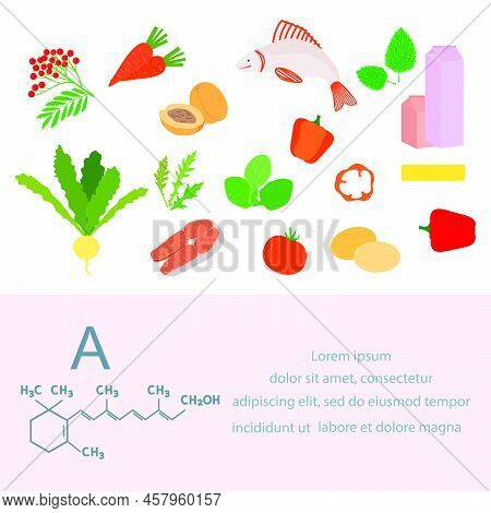 Vector Illustration Vitamin A Sources. Healthy Food Containing Carotene, Enriched With Vitamins. Pro