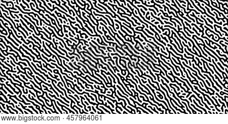 Turing Reaction Diffusion Black And White Seamless Pattern With Chaotic Motion