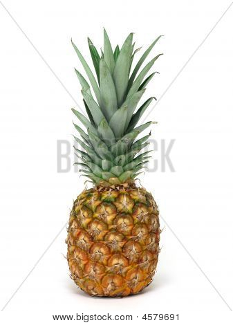 Ananas ananas