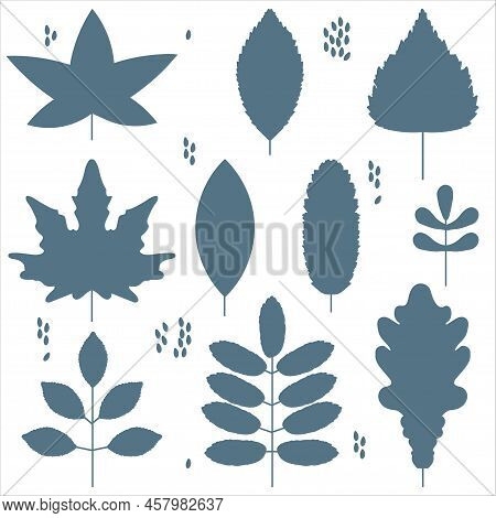 Vector Pattern With Blue Autumn Leaves Shape