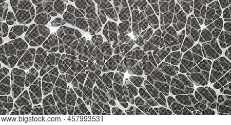 Top View Of The Water Surface With Caustic Ripples As A Seamless Pattern
