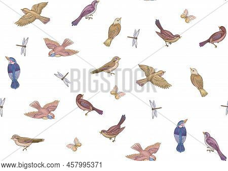 Set Off Birds Sparrow, Finches, Butterflies And Dragonflies. Seamless Pattern, Background. Hand Draw