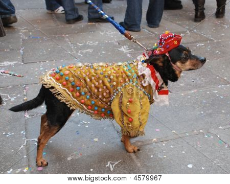Cane In Costume di Carnevale