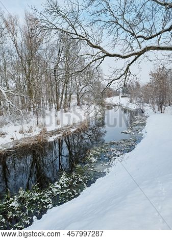 Nevezis River At Winter Season. White Snow Day Time. Lithuania Mieziskiai.