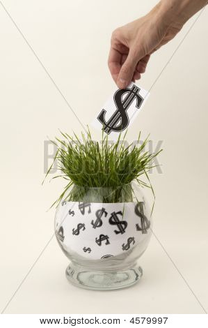 gesunde Investitionen