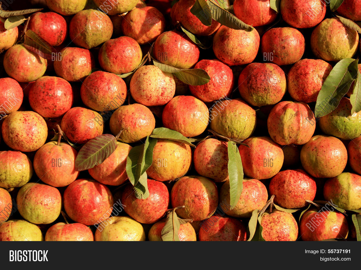 Image Preview