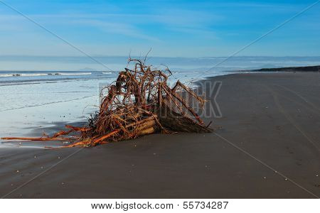 Washup Stumb