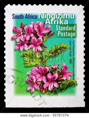 Post Stamp From Republic Of South Africa
