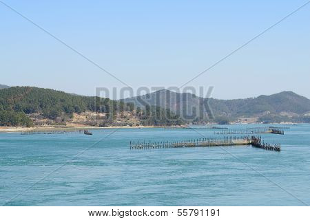 Korean Traditional Method For Fishing Anchovy By Flow Of Sea Water