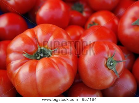 Manzo pomodori