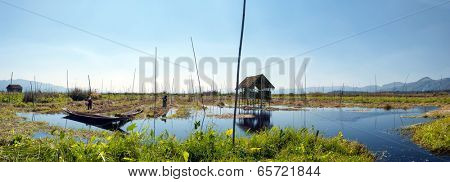 Inle Lake Myanmar, Shan state. Floating gardens of rural Intha village farms on water. Eco nature panorama 