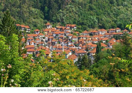 Prijepolje Town in Serbia