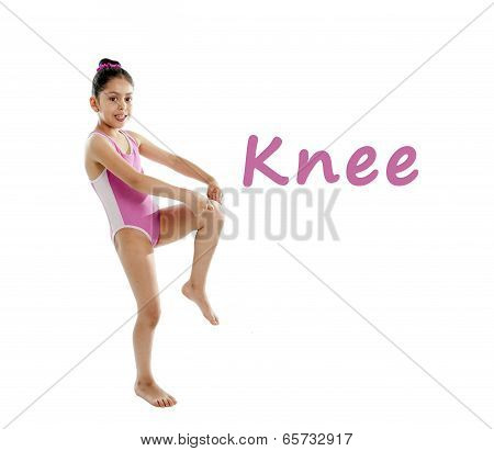 learning english body parts school chart for children