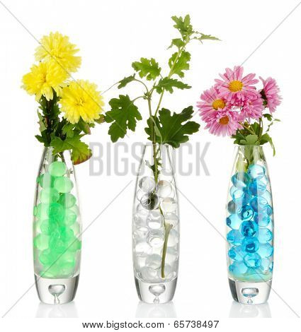 Beautiful flowers in vases with hydrogel isolated on white