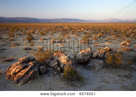 Joshua Tree National Park
