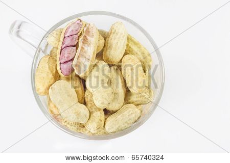 Peanut