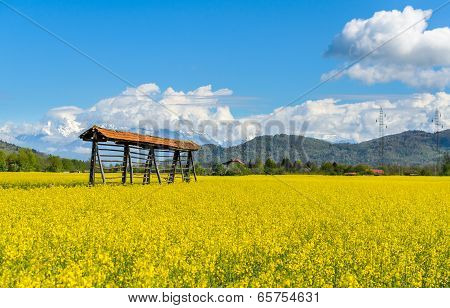 Hayrack In A Field