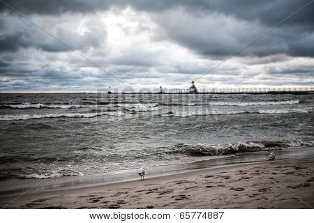 Storm over Lake Michigan, focus on seagull on the beach