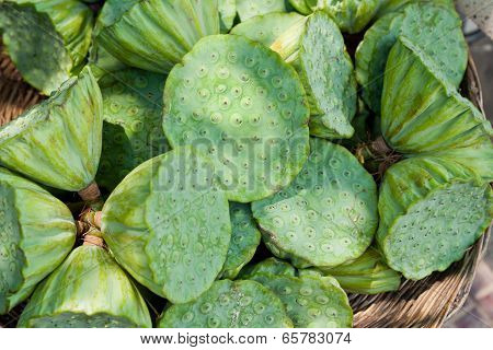 Calyx Of The Water Lily