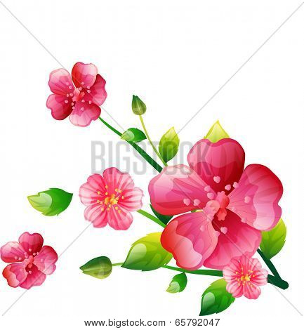 The view of flower 