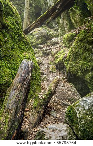 Czech National Natural Heritage Rudice Basin