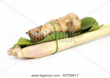 Ingredient For Tomyam Set (thai Food)