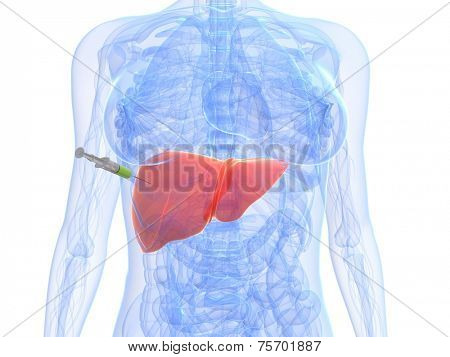 liver injection