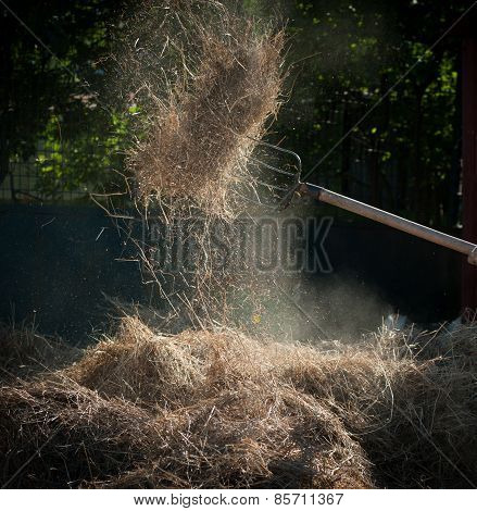 Hayfork And Hay