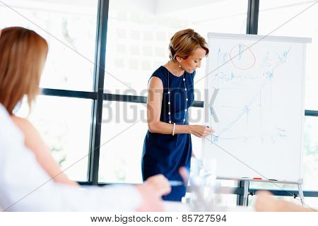 Businesswoman doing a presentaion in front of her collegues