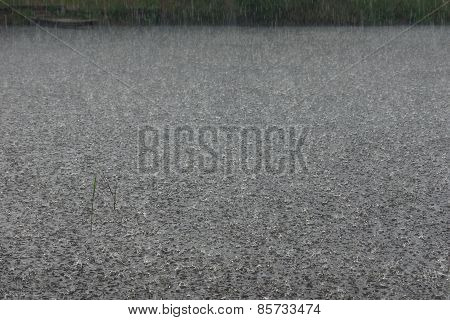Summer Rain