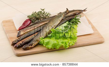 Lamprey