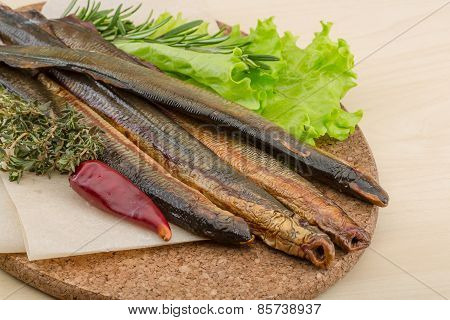 Lamprey