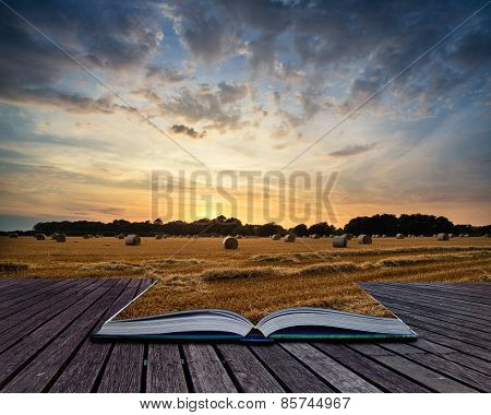 Rural Landscape Image Of Summer Sunset Over Field Of Hay Bales Conceptual Book Image