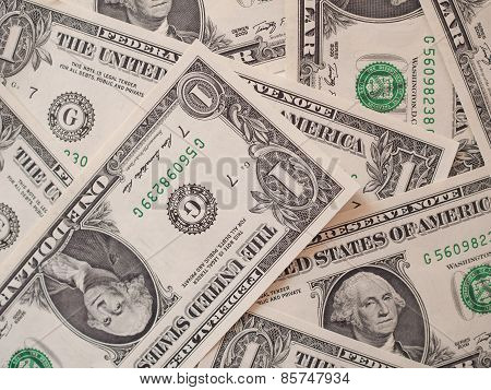 Dollar Notes 1 Dollar