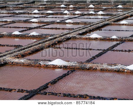 Salina del Carmen salt evaporation ponds