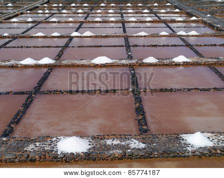 Salina del Carmen salt evaporation ponds