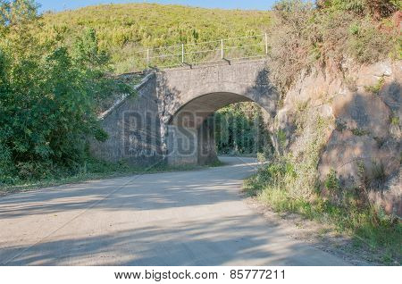 Railroad Bridge In The Montagu Pass