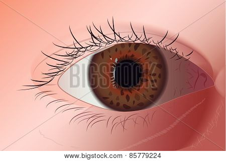Realistic Green Eye