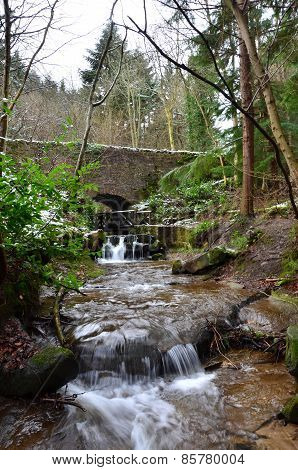Stream in Woodland