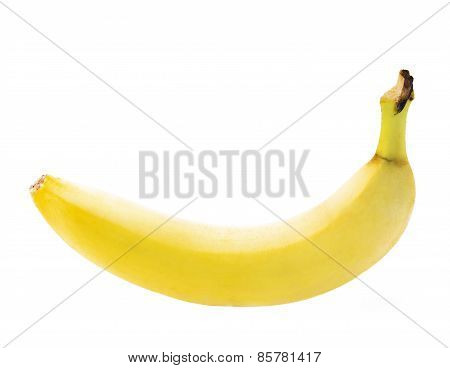 Single yellow spotless banana over white