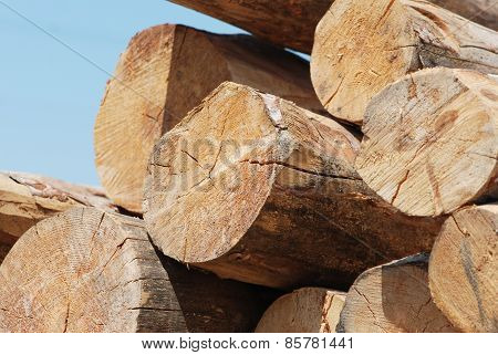 Timber