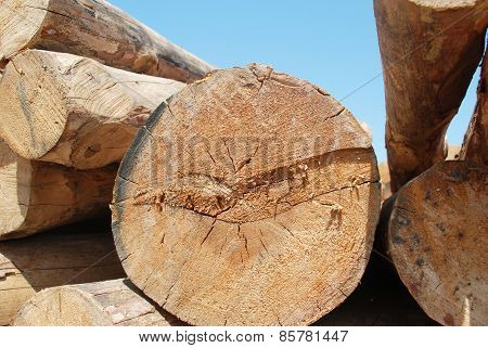 Timber