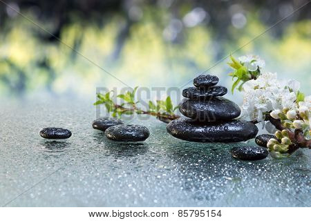 Black stones and almond flowers with water drops