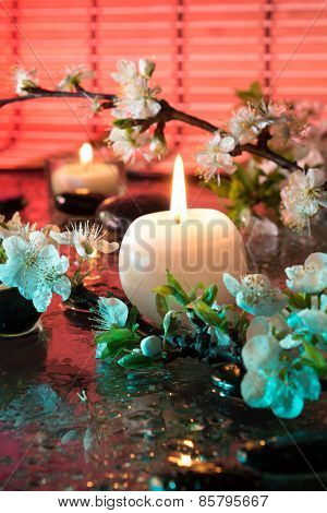 almond flowers with candle - chromotherapy